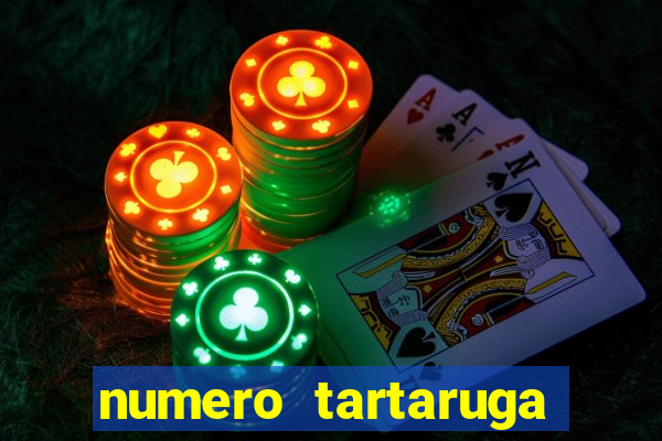 numero tartaruga jogo do bicho